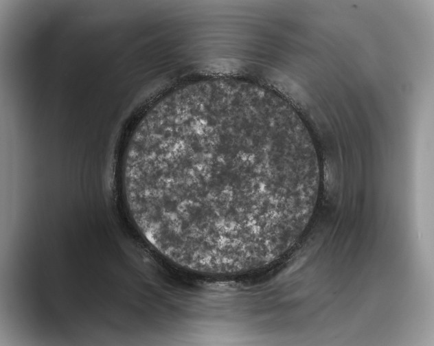 X0000088850396200707061037