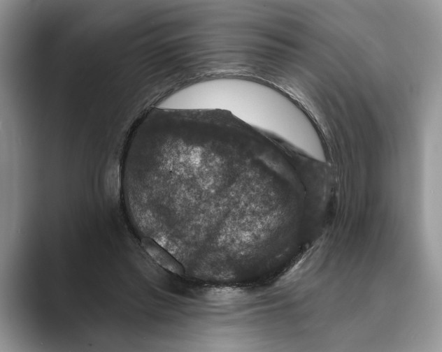 X0000088850397200707061036