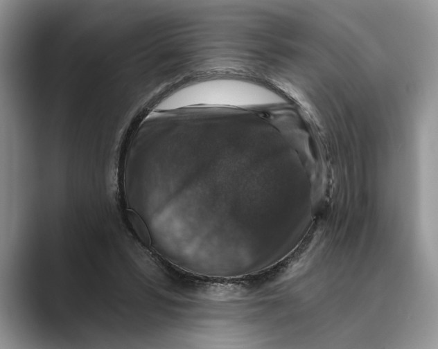 X0000088850399200707061036