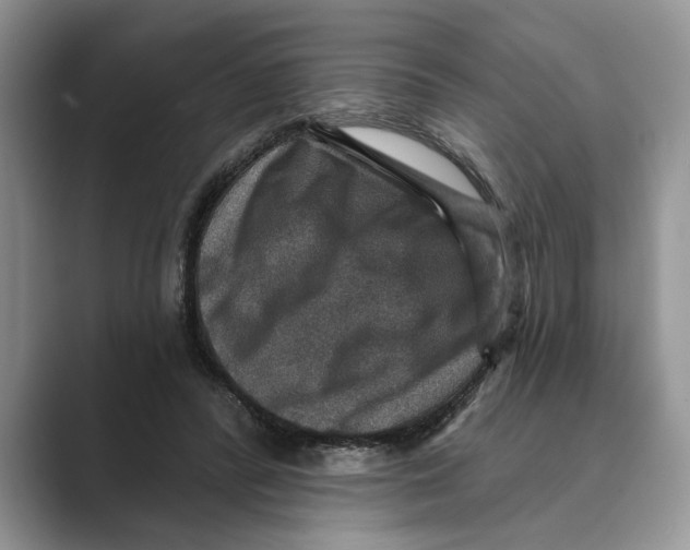 X0000088850400200707061036