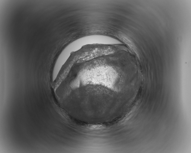 X0000088850401200707061036