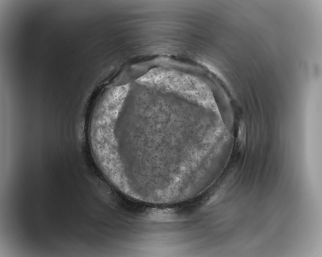X0000088850403200707061036