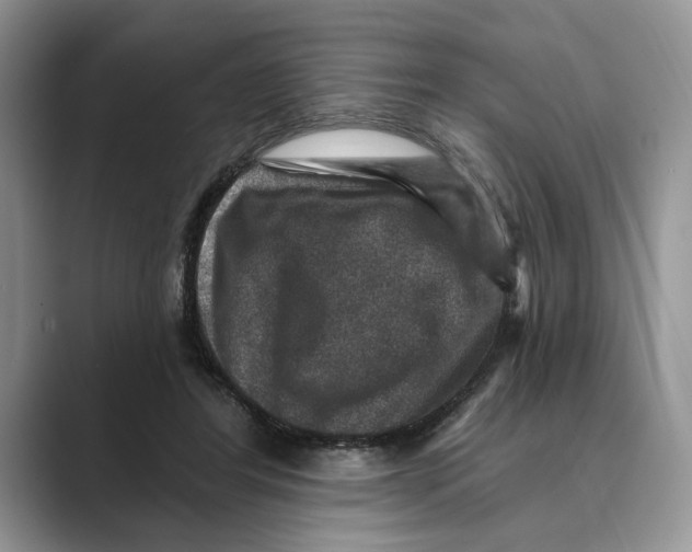 X0000088850404200707061036