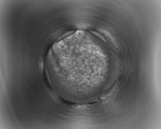 X0000088850405200707061036