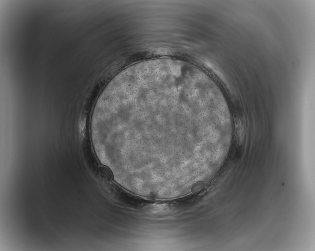 X0000088850406200707061036