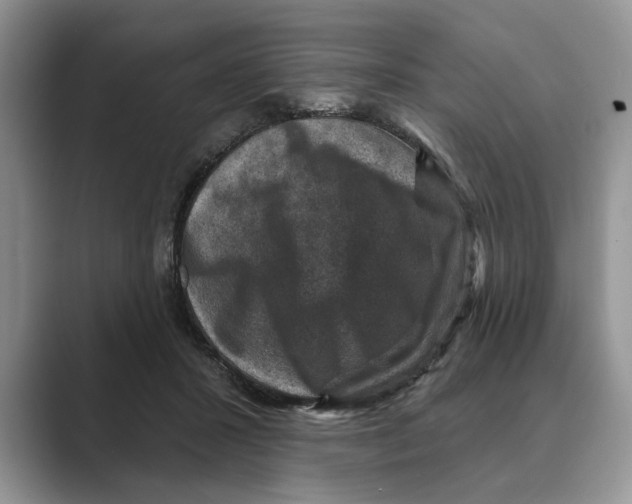 X0000088850407200707061036