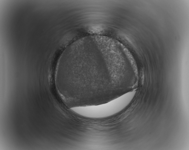 X0000088850408200707061036