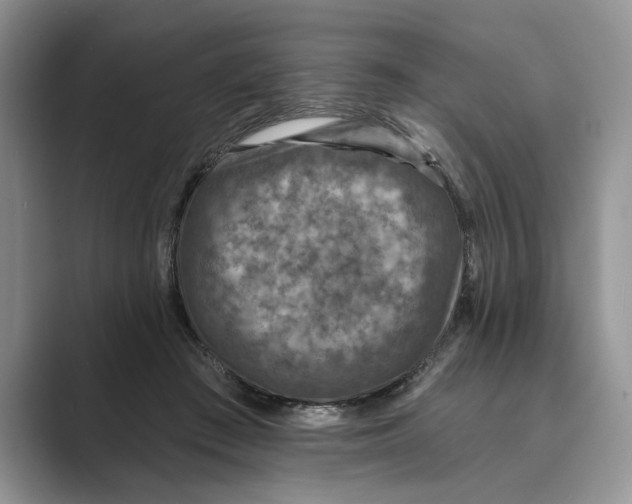 X0000088850409200707061036
