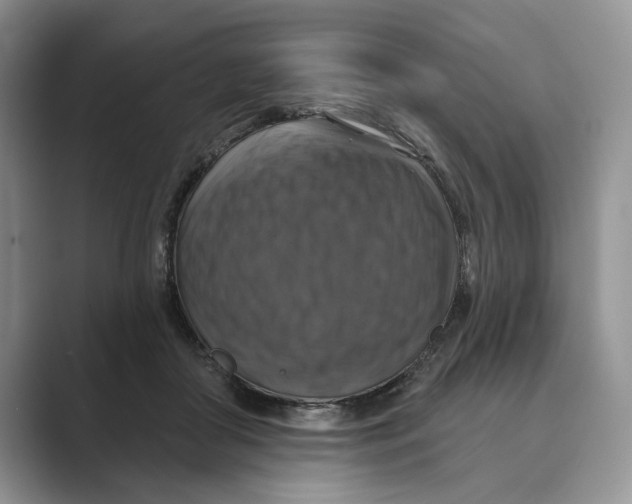 X0000088850410200707061036