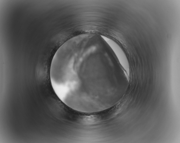X0000088850411200707061036