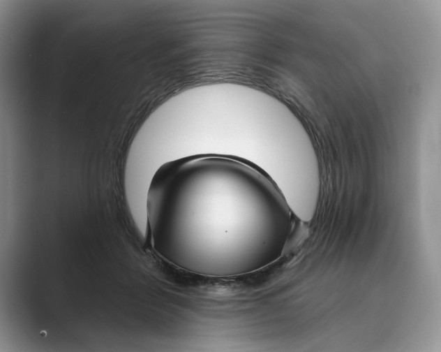 X0000088850412200707061036
