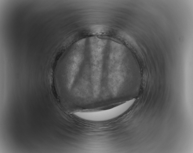 X0000088850413200707061036