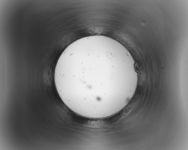 X0000088850414200707061036