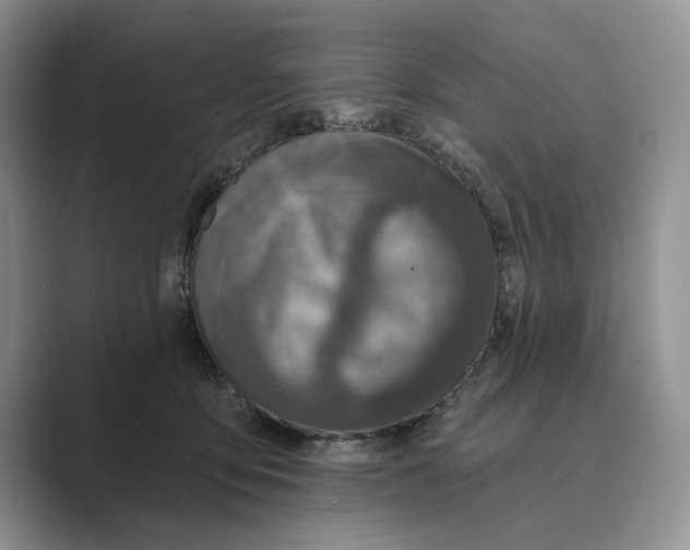X0000088850419200707061036