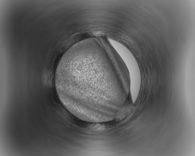 X0000088850421200707061036