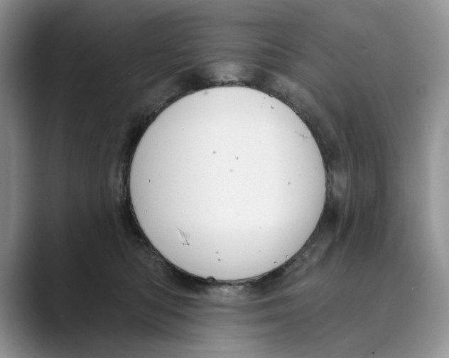 X0000088850422200707061036
