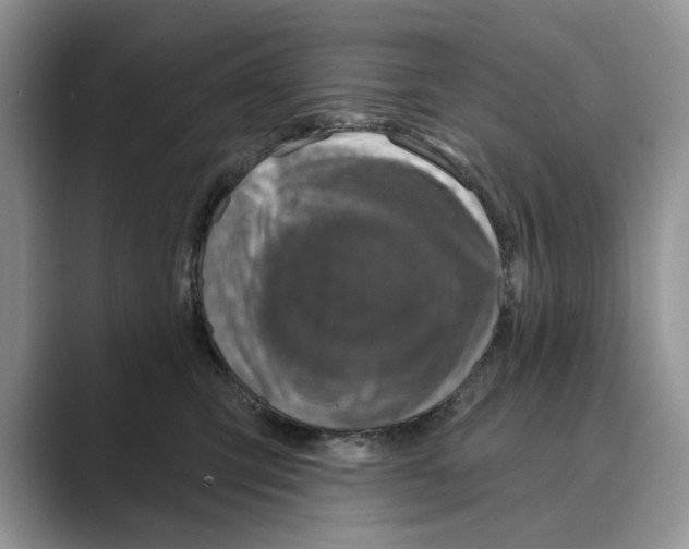X0000088850423200707061036