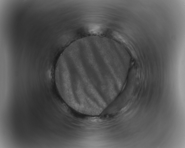 X0000088850424200707061036