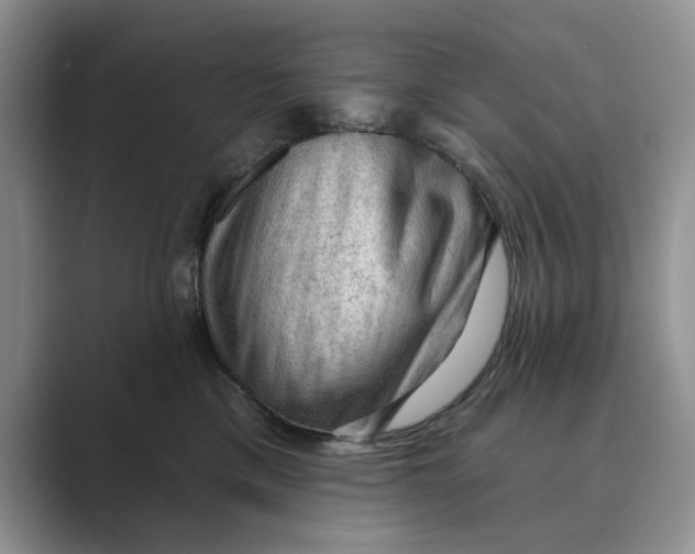 X0000088850425200707061036