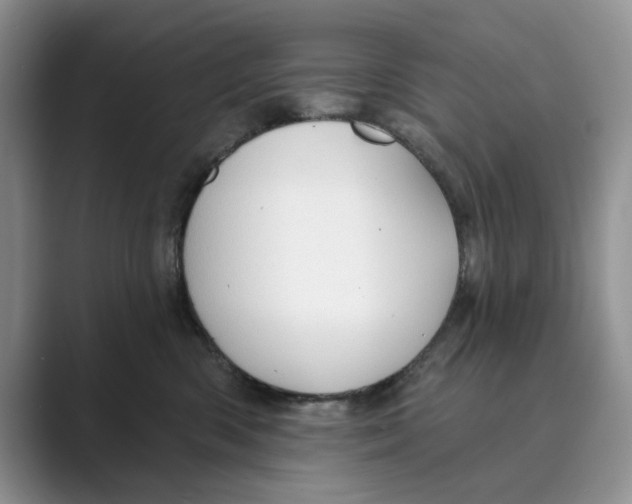 X0000088850426200707061036