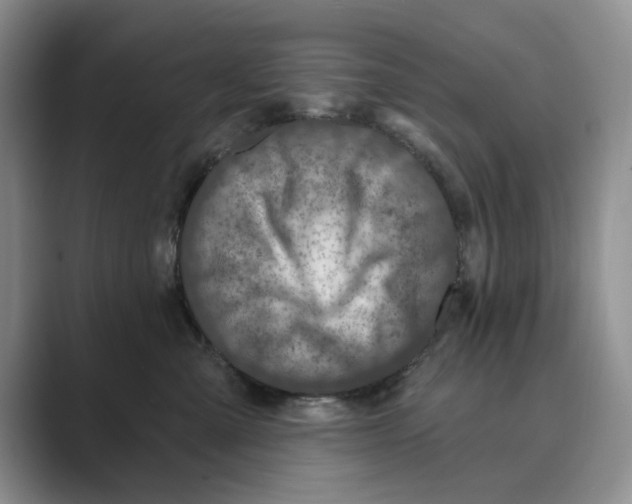 X0000088850427200707061036