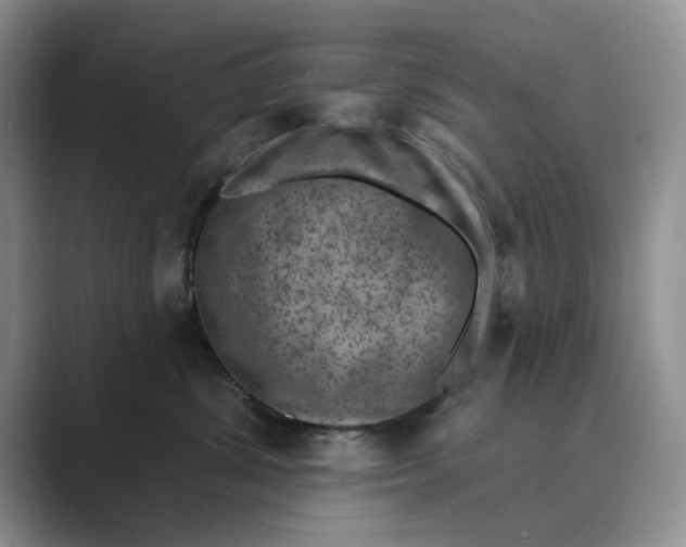 X0000088850428200707061036