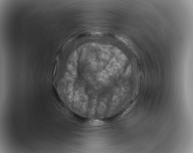 X0000088850429200707061036