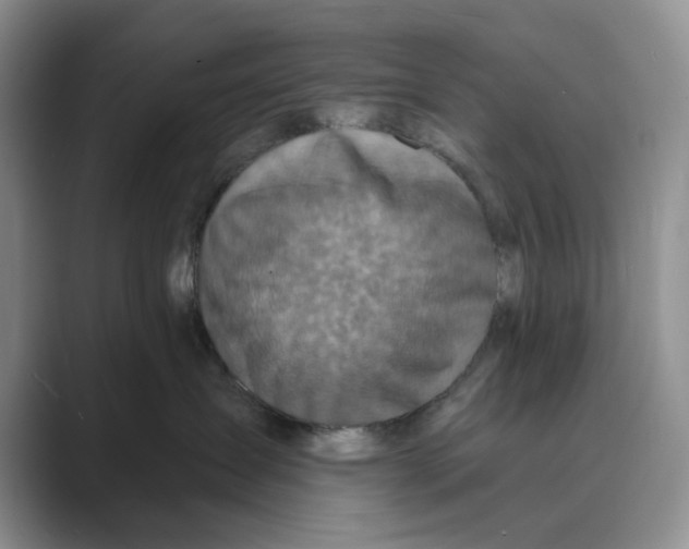 X0000088850431200707061036