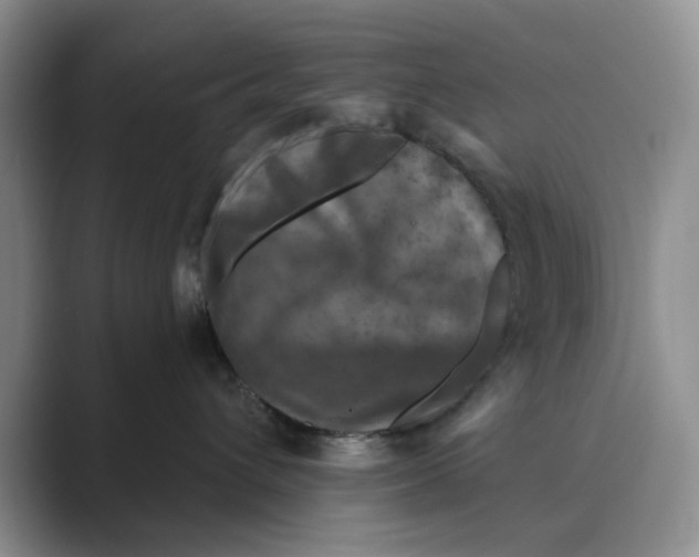 X0000088850432200707061036