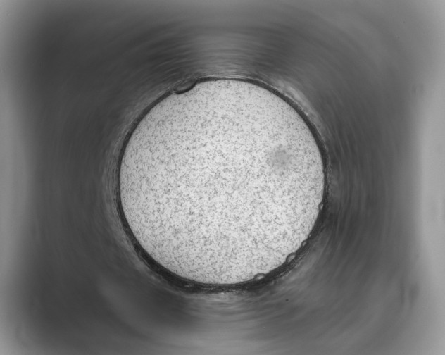 X0000088850433200707061036