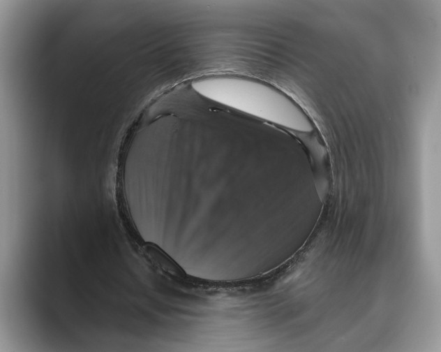 X0000088850434200707061036