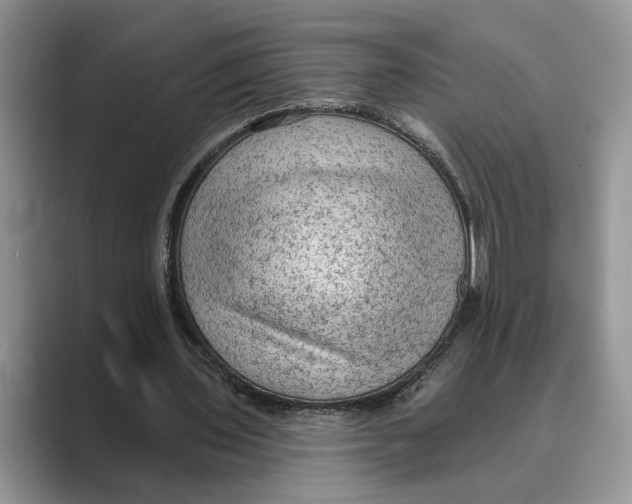 X0000088850435200707061036