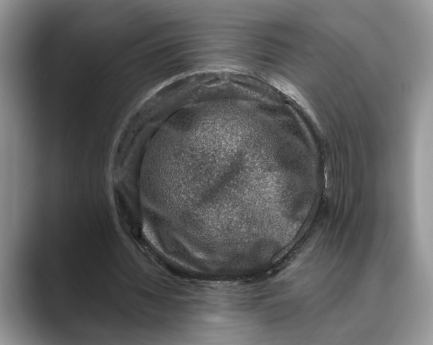 X0000088850436200707061036