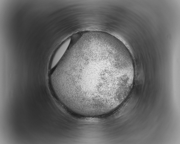 X0000088850437200707061036