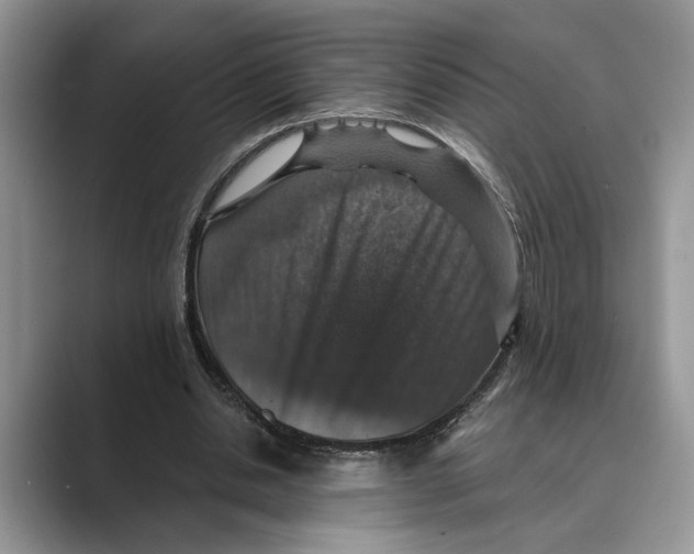 X0000088850438200707061036