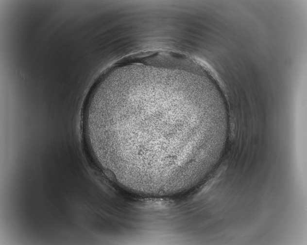 X0000088850439200707061036