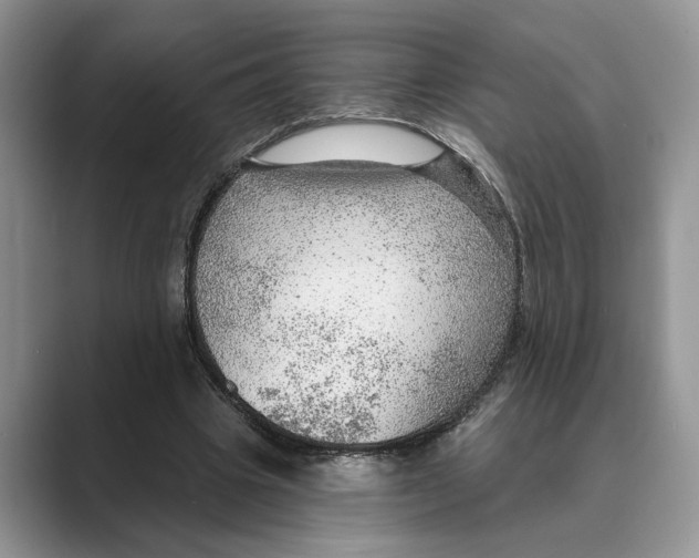 X0000088850441200707061036