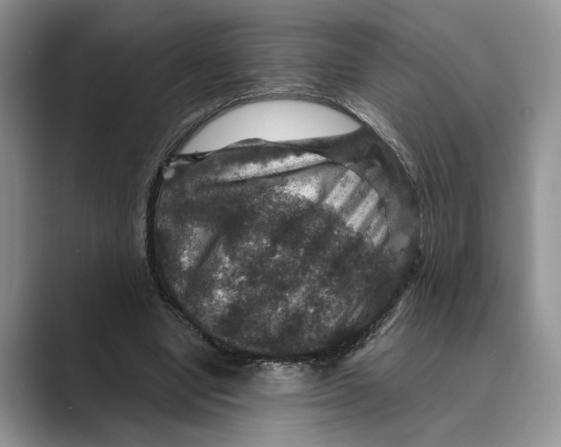 X0000088850442200707061036