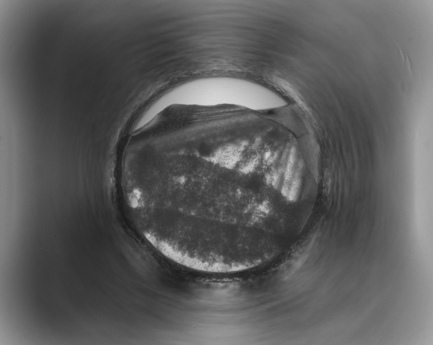 X0000088850443200707061036