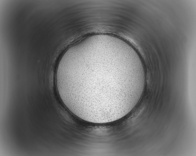 X0000088850445200707061036