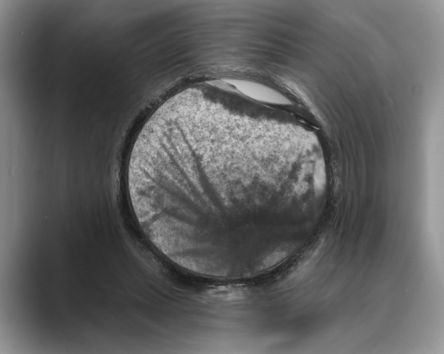 X0000088850447200707061036