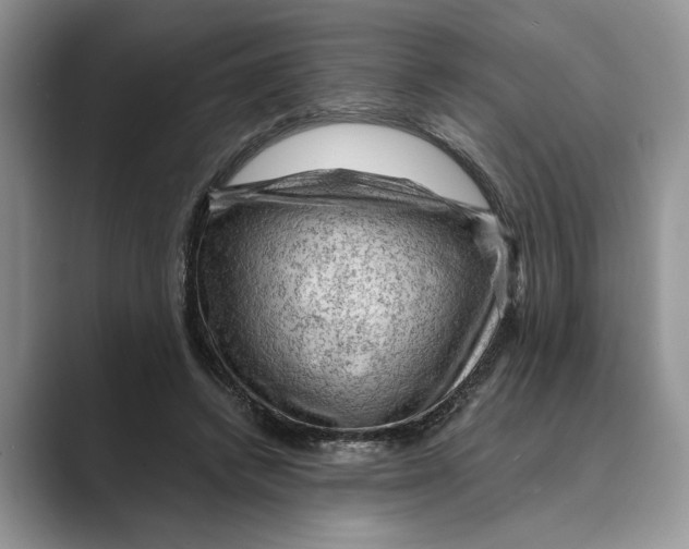X0000088850448200707061036