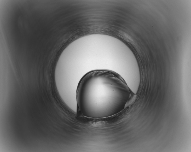 X0000088850452200707061036
