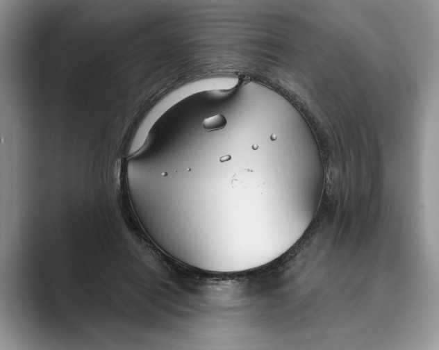 X0000088850454200707061036