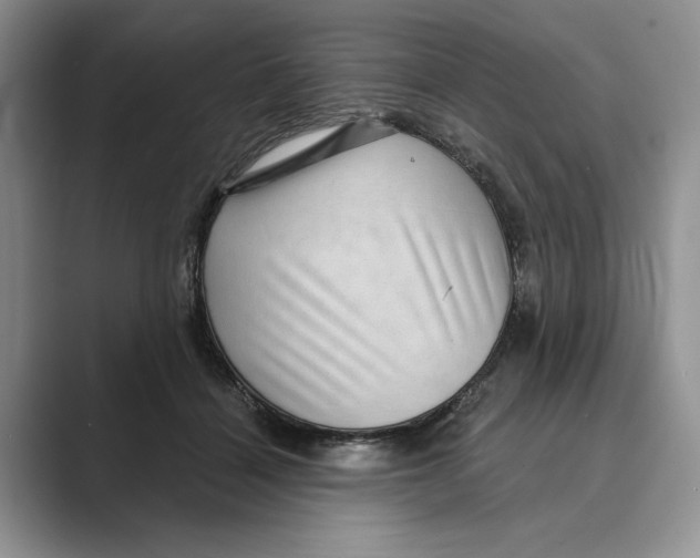 X0000088850460200707061036