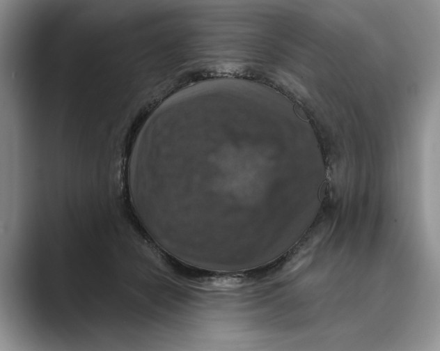 X0000088850462200707061036