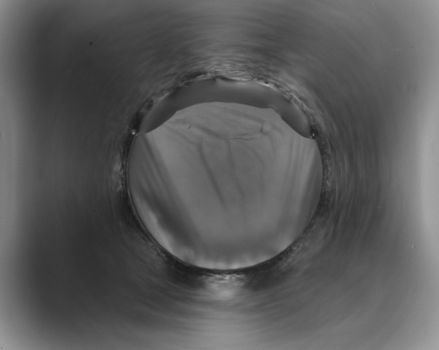 X0000088850465200707061036