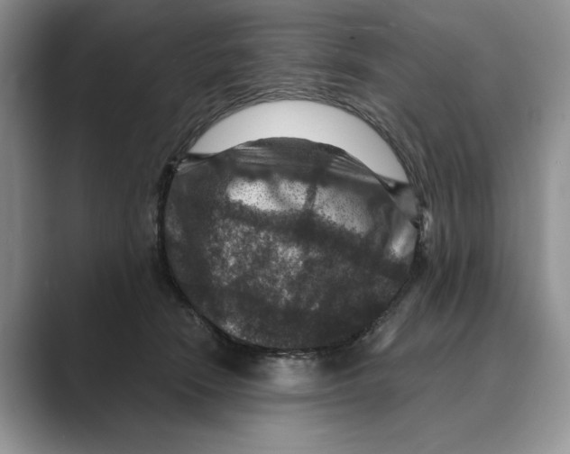 X0000088850466200707061036