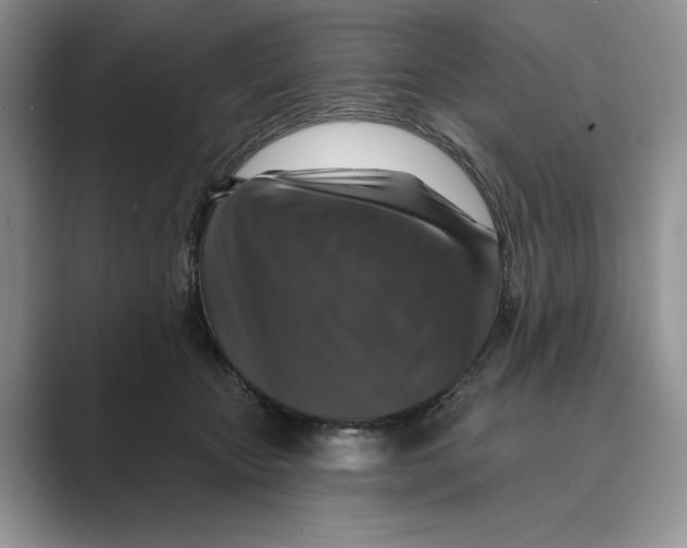 X0000088850467200707061036