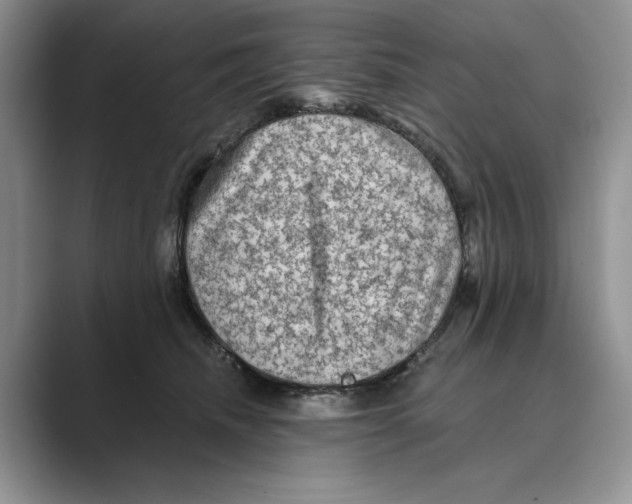 X0000088850468200707061036